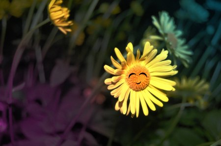 giá trị con người bạn