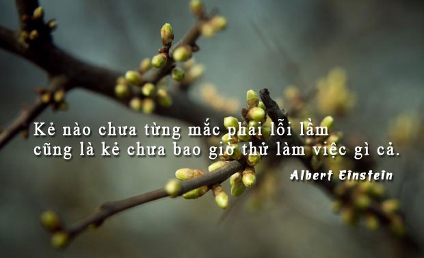 lỗi lầm