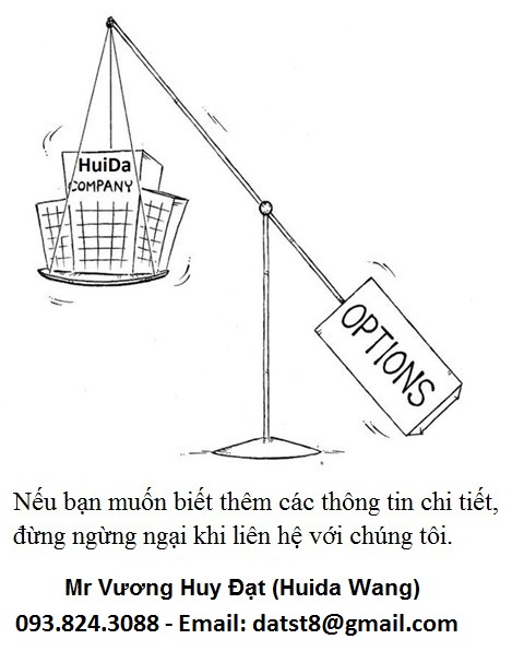 chien-luoc-option - mới
